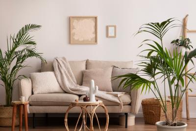 Buckley Place - stock image 