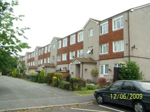 Forest Court