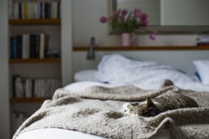 Photo for illustrative purposes