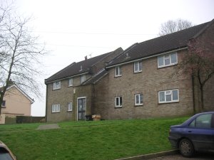 Front view